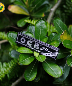 Giấy Cuốn OCB Đen 110mm & Filter tips