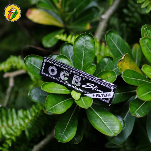 Giấy Cuốn OCB Đen 110mm & Filter tips