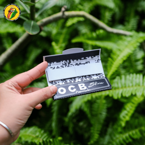 Giấy Cuốn OCB Đen 110mm & Filter tips