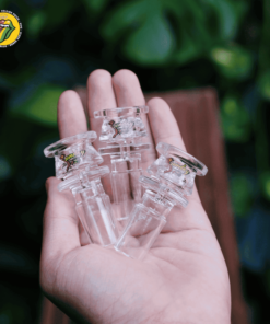 Chén Thủy Tinh Vành Tròn - L23