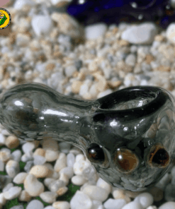 Tẩu Thuỷ Tinh Baby Spine - TTT172