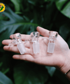 Chén Thủy Tinh Milk - L20