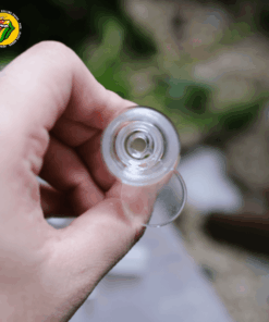 Chén Thủy Tinh Milk - L20