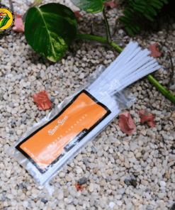 Bịch Cọ Vệ Sinh - PK17