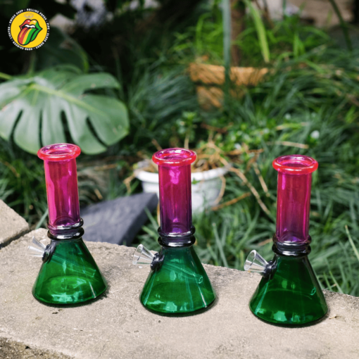 Boong Thủy Tinh Willy Wonka - BTT443