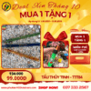 Tẩu Thủy Tinh Pencil - TTT84