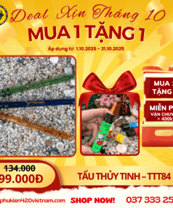 Tẩu Thủy Tinh Pencil - TTT84