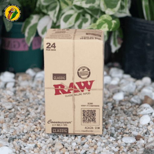 Giấy Cuốn RAW Connoisseur Classic 1-1/4 & Filters Tips - GC140