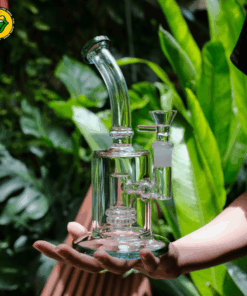Jelly Bong - BTT301