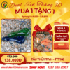 Tẩu Thủy Tinh Fussy - TTT168