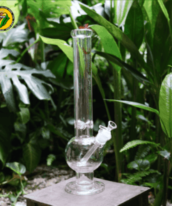 The Origin - BTT67