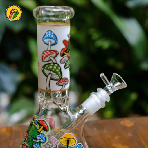 Colorful Mushroom - BTT401