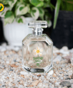 Honeypuff Perfume 100ml - PK37