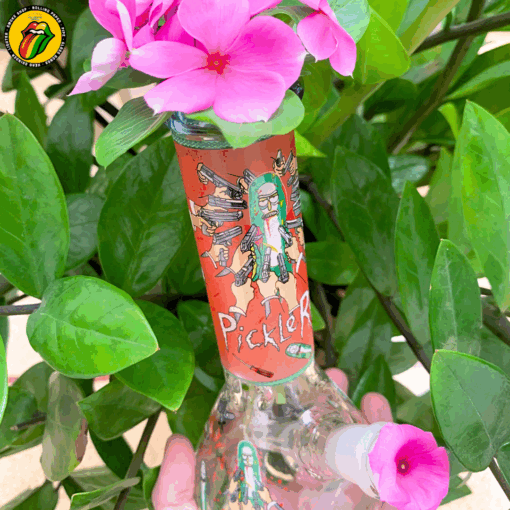 Colorful Mushroom - BTT401 - Ảnh 4