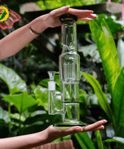 Điếu Cày Thủy Tinh 2 Lọc Dino - BTT456