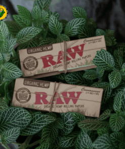 Giấy Cuốn Raw Organic Connoisseur 1-1/4 Kèm Tips - GC139