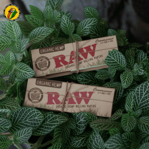 Giấy Cuốn Raw Organic Connoisseur 1-1/4 Kèm Tips - GC139