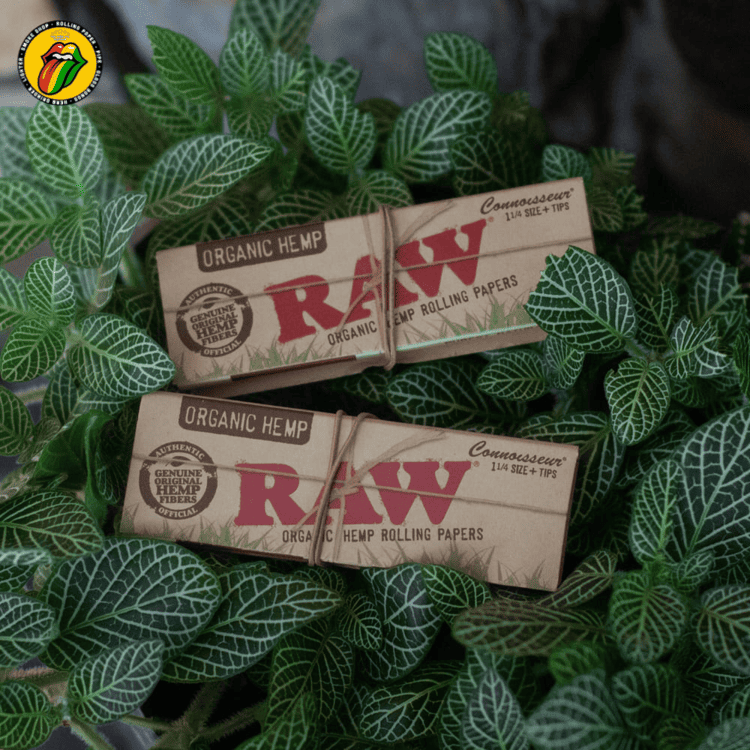 Giấy Cuốn Raw Organic Connoisseur 1-1/4 Kèm Tips - GC139