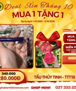 Tẩu Lọc Nước Classic - TTT10