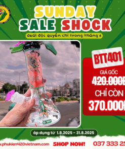 Colorful Mushroom - BTT401