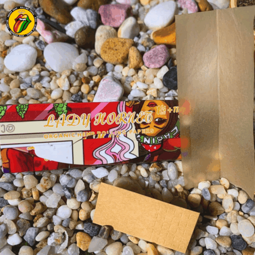 Combo Roller Club | Bộ Phụ Kiện 6 Món - CB03