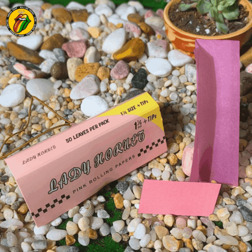 Combo Roller Club | Bộ Phụ Kiện 6 Món - CB03