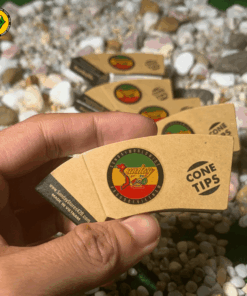 Tips Lọc Hình Nón SUNDAY - TO09