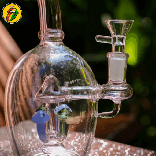 Mushroom Terrarium - BTT457 - Ảnh 4
