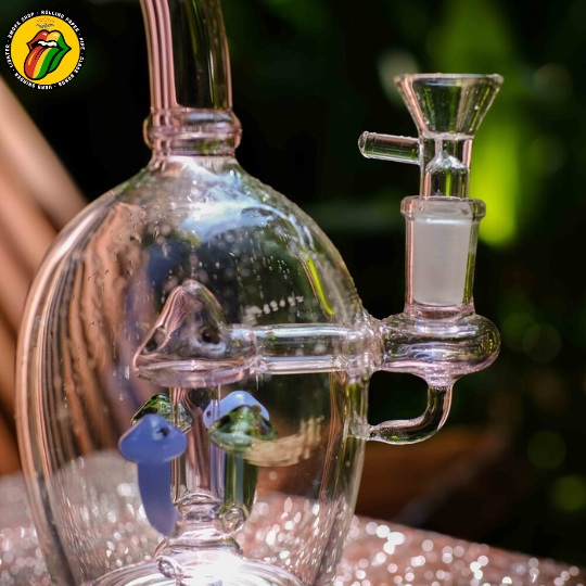 Mushroom Terrarium - BTT457 - Ảnh 4