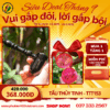 Tẩu Thủy Tinh Gasby - TTT153