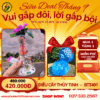 Colorful Mushroom - BTT401