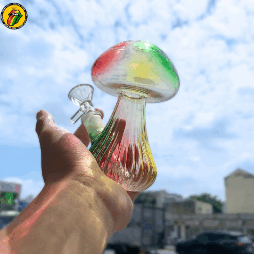 Rainbow Shroom - BTT768 - Ảnh 3