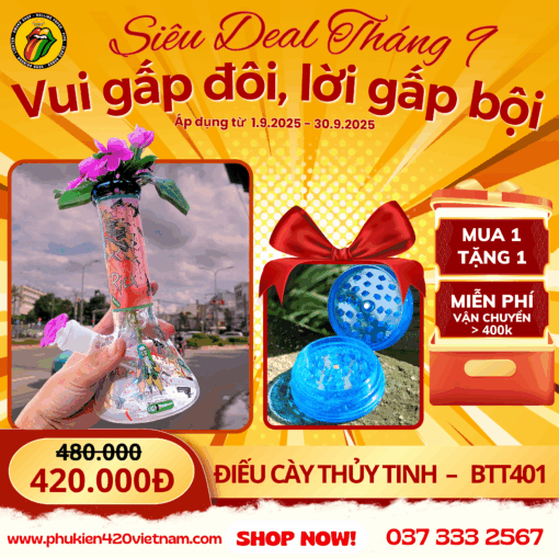 Colorful Mushroom - BTT401