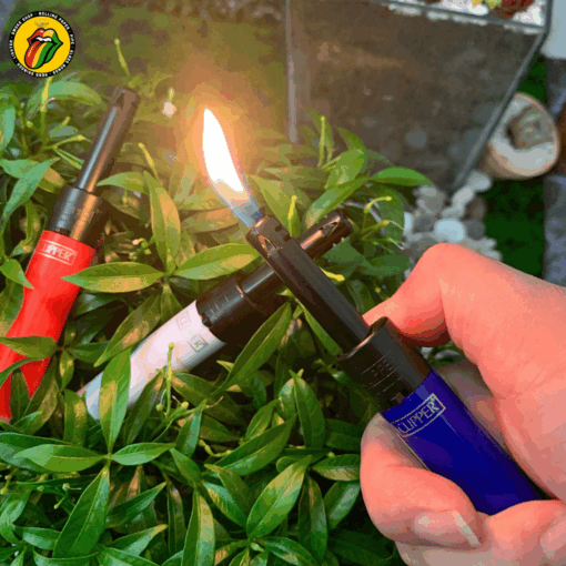 Bật Lửa Clipper Đầu Dài - BL58 - Ảnh 7