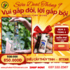 Điếu Cày Thủy Tinh Vivid - BTT368